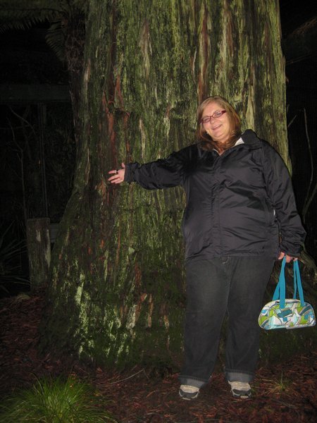 me and a big tree