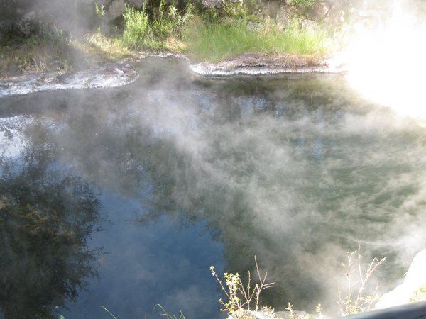 steaming pond