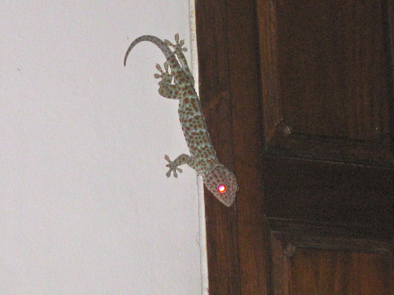 he was on our door waiting for us