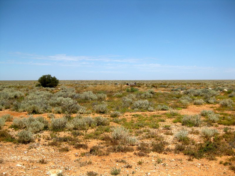 the outback