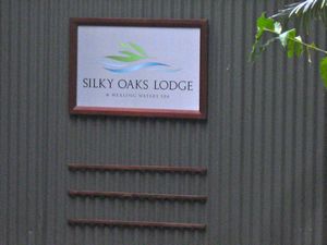 silky oaks
