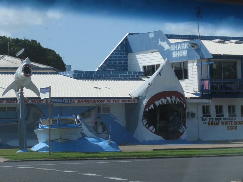 shark guys place