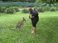 I love kangaroos