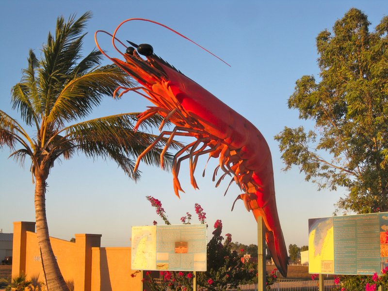 giant prawn