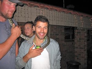 frenchie and the python
