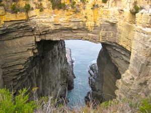 tasman arch