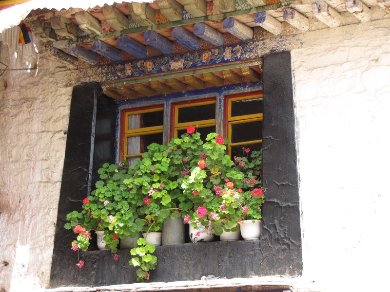 Window in Lhasa