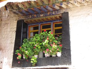 Window in Lhasa