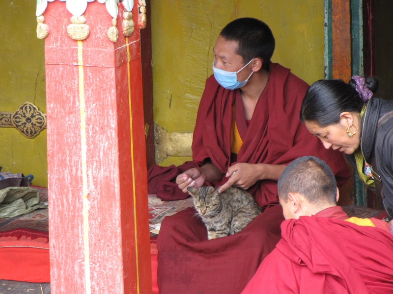 A Monk with his Kitty