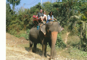 Our Elephant with "Real" Mahout