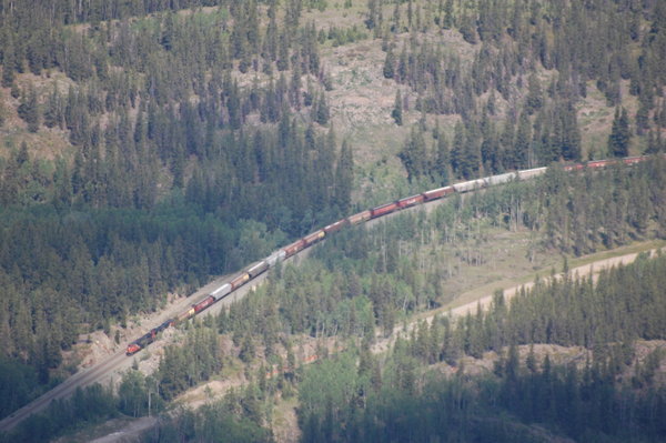 View of Train leaving Jasper station from Top of Tramway