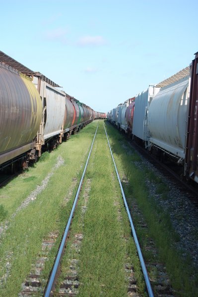 Passing between 2 Freight Trains