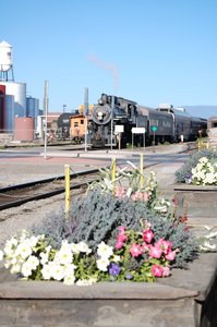 Train at Alamosa in the Morning