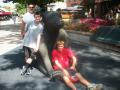 Cool Bear Sculpture in Old Town
