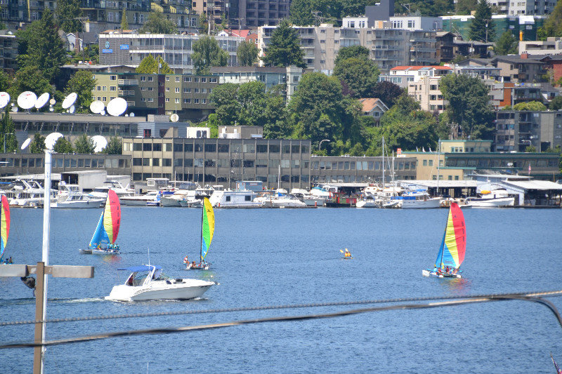 Sailboats on Lake Union
