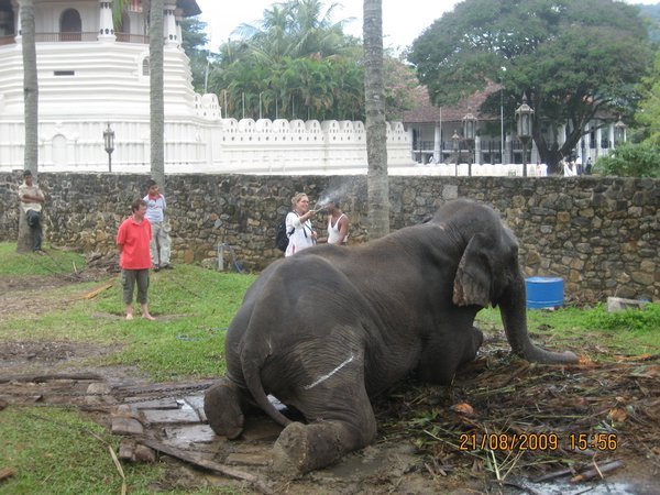 Washing at Sacred Temple, Kandy