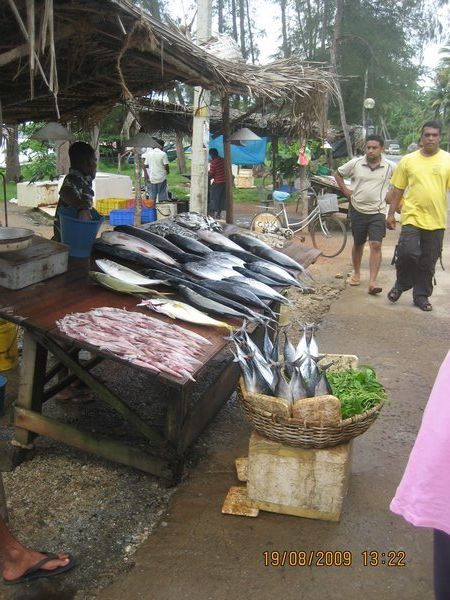 Mirissa Fish  Markets