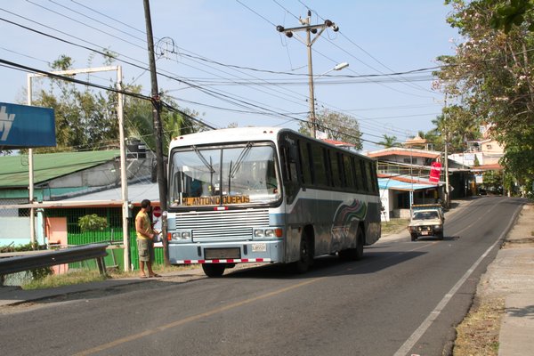 The Public Autobus