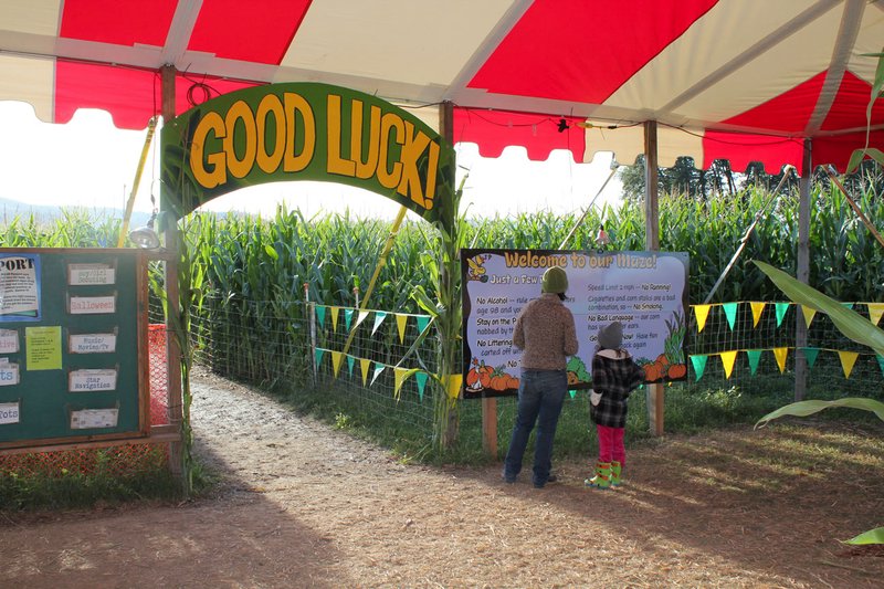 Entrance to Corn Maze