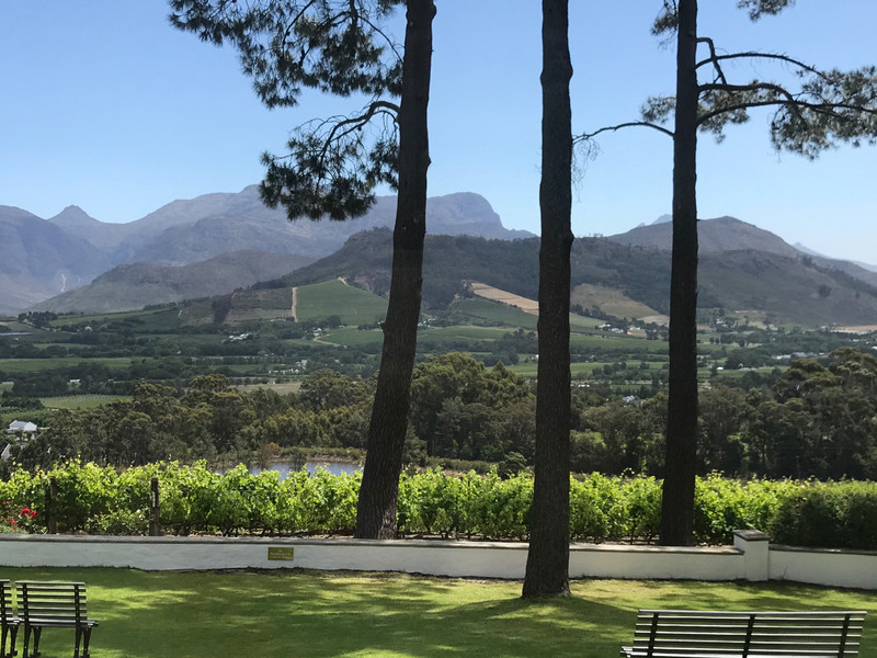 the Winelands.