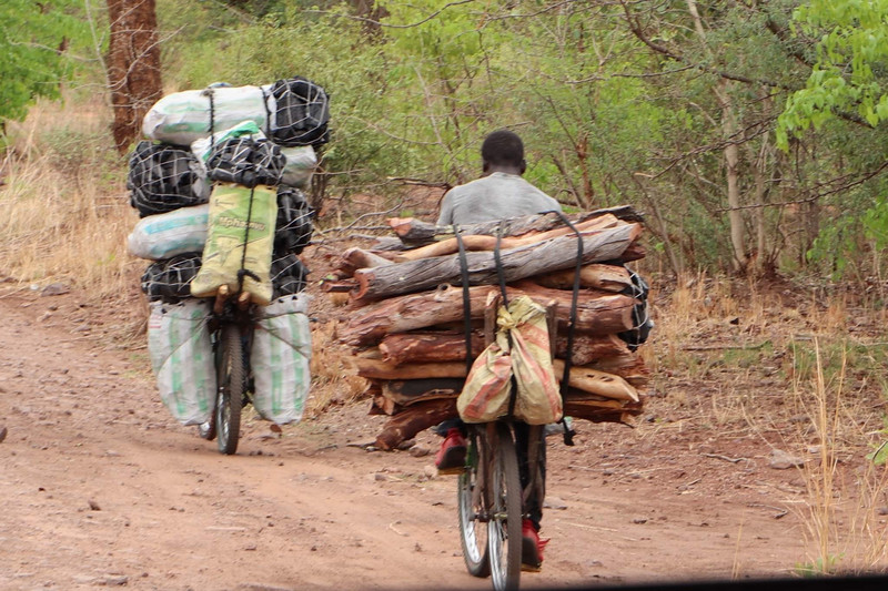 two of the village men taking the charcoal and sticks to Livingstone to sell for apps $6-10 In US dollars. It will to be a four hour round trip.