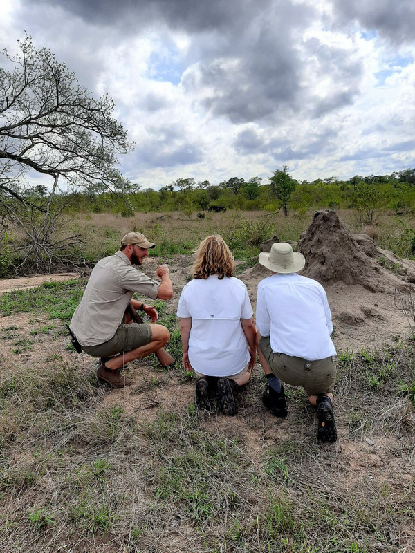 Observing and hiding from the rhino