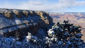 Snow falls on Canyon
