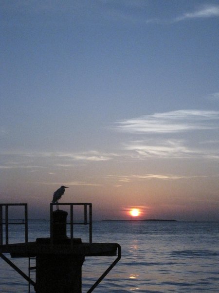 Obligatory Key West sunset shot