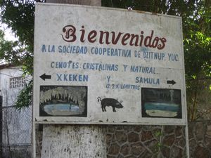 Cenotes ahead!