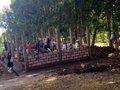 Building the school house!