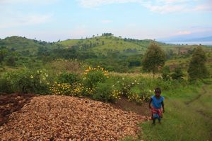 Western Ugandan Landscape