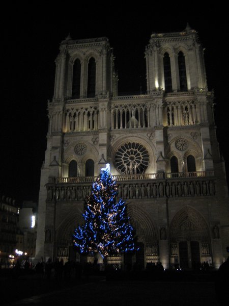 Christmas tree in front of the home of hunchback