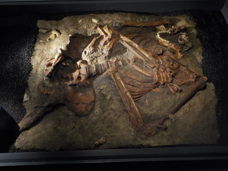 Deliberate Neandertal Burial
