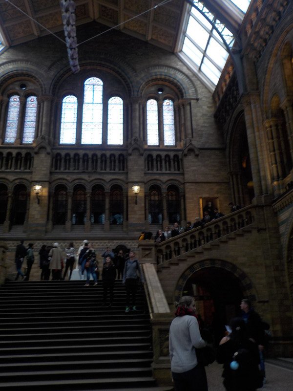 Inside the Natural History Museum
