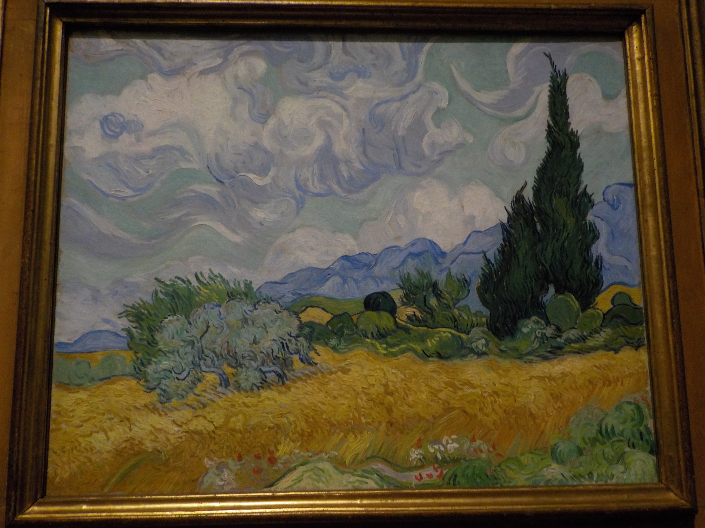 Wheat Field with Cypresses | Photo