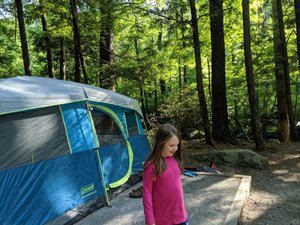 Our Campsite at Elkmont in the Great Smoky Mountains