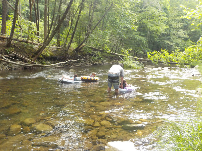 Trying to Tube by the E loop at Elkmont Campground