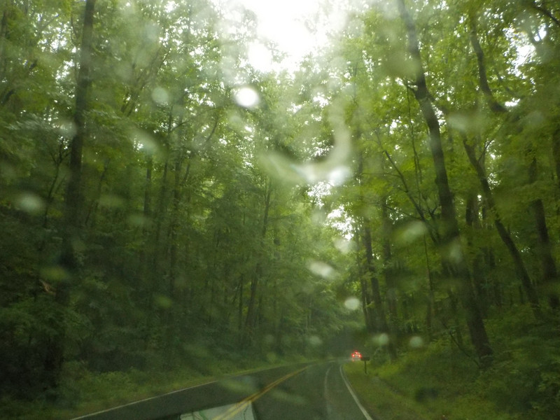 Rainy Afternoon in the Great Smoky Mountains