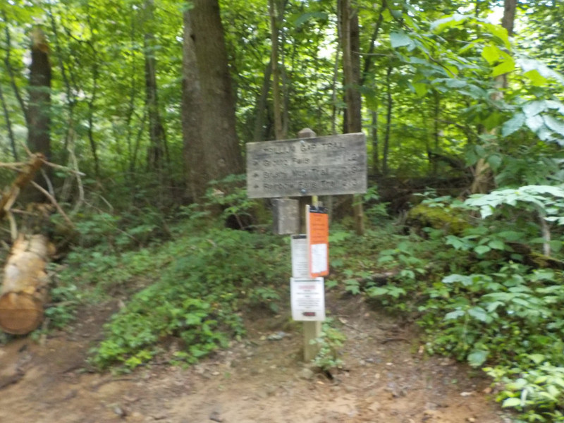 Trail Marker, 0.2 miles into our hike