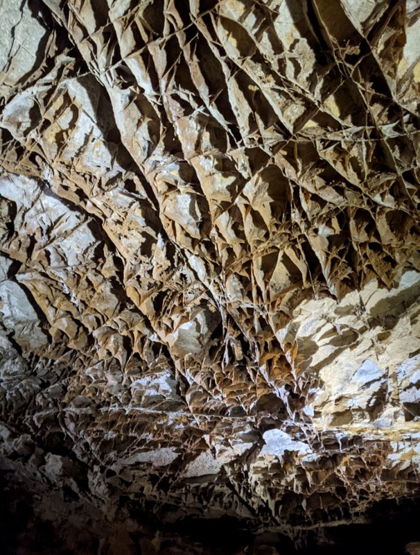 Boxwork Ceiling Formations