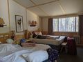 Yellowstone Lodge Cabins