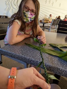 Twisting leaves into rope for our leis