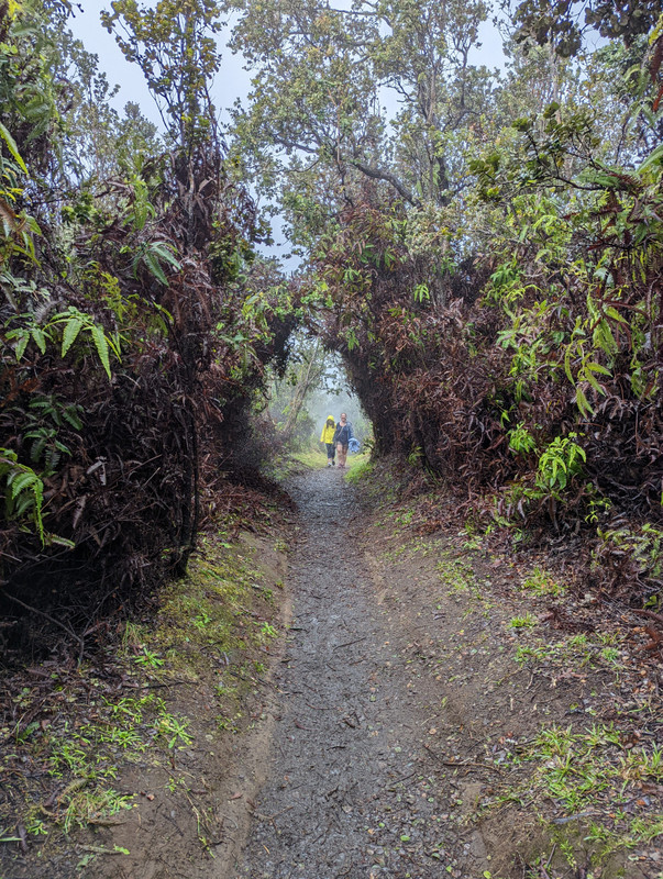 Rain on the Crater Rim Trail
