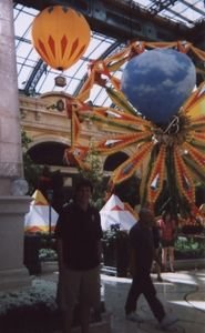 Andrew at the Bellagio