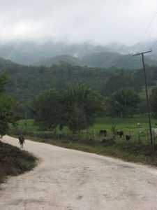 Man Rides Donkey through Maya Mountains