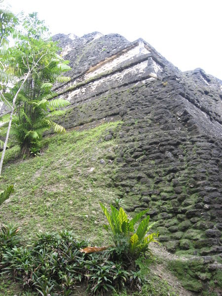 Looking Up the Side of Another Mayan Temple
