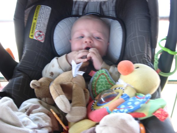 Oliver in His Car Seat