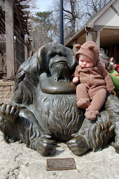 Orangutan Babysits Bear