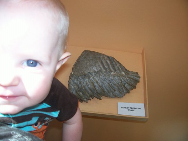 Oliver and a Wooly Mammoth Tooth