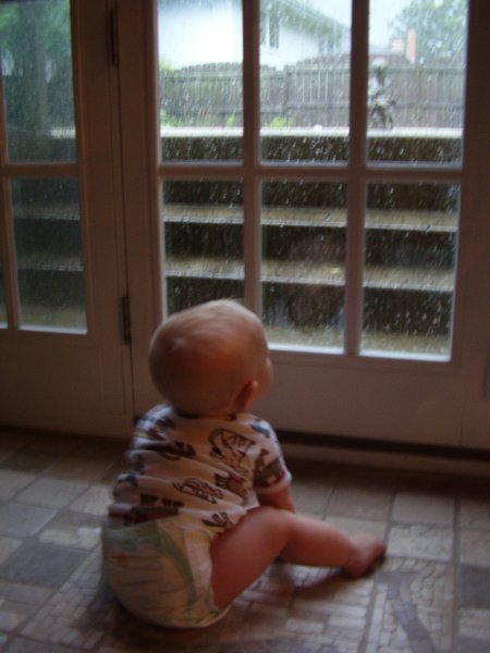 Oliver Checks Out the Rain